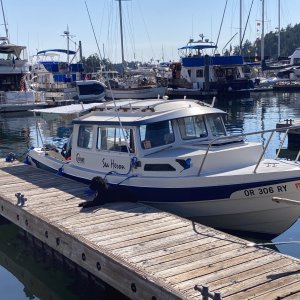 Friday Harbor, notice out fluffy guard dog?