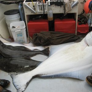 100# Halibut, several others and a King Salmon in the Bag