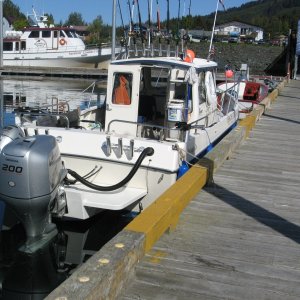 IN TRANSIENT 2009 - SELDOVIA, ALASKA