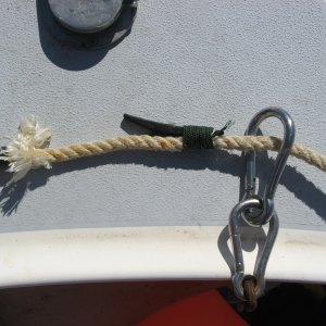 6/29/2012 pulling buoy snap about to be "captured".
I have used this for 25 yrs and it has only failed to latch maybe 6 or 8 times out of many hundreds of pulls.