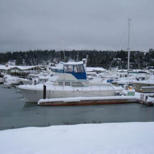 Marina is frozen over