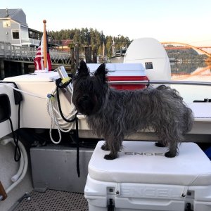 Ranger, boat dog