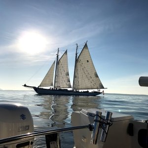 They snuck up on us when we were busy pulling crabpots