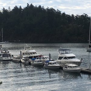 Fossil Bay CBGT 2018