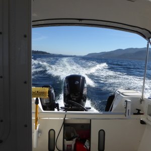 Between Cypress and Point Lawrence