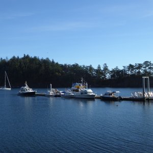 Still room on Dock 2 as well. Struggling with a cold, I did not feel like moving the boat.