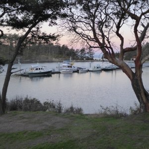 Sunrise over at Dock 2. Big boat on end of dock is from San Francisco. Harvey knows more about their story.