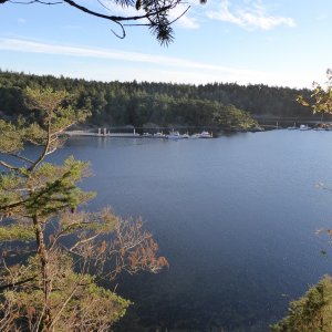 View of the docks from Ev Henry Point trail
