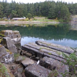 Exploring the original foundations from the Harnden family in the 1920s over in mud bay