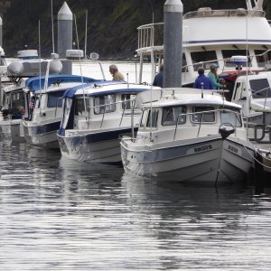I finally felt good enough to move the boat over with the others.