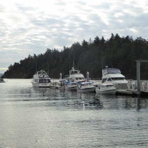 All the boats at Dock 2