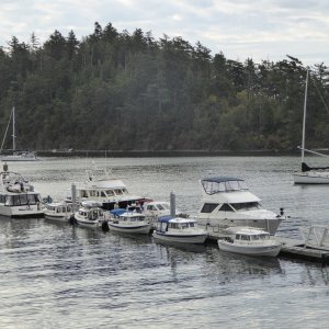 Sleepy C (Harvey), Missy (Roger), Osprey (Andy), Songbird (Brock), and Big C (Mike) together on Dock 2. As well as the unexpected TomCat 24 (forgot their names sorry!)