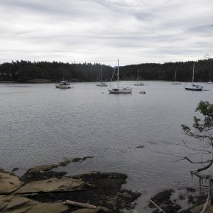 Shallow Bay much busier today, as boats were hunkering down to wait out the winds.