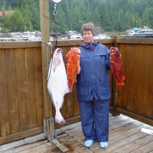 Critter Cove Marina in Nootka Sound