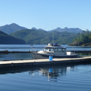 Critter Cove Marina in Nootka Sound
