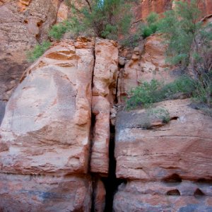 Some of the Scenery on Smith Fork Canyon Trail 9-20-10