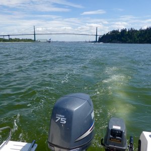 Fishing off West Vancouver / Lions Gate bridge view