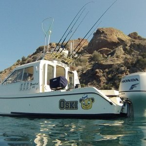 GOPR3260