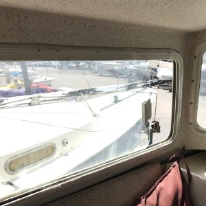 IMG 1981