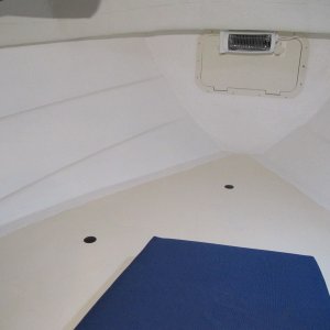 Two coats on in this pic for the sides and end wall to see how it works