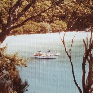 MAYA MAYI  our self built Roberts 45 anchored in Shelter Cove the most southerly point of mainland Australia enroute back to the U.S.