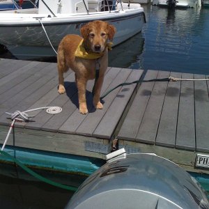 The Capt'n waiting to board