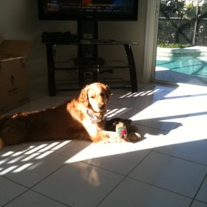 Miley with her duck