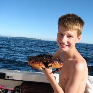 I't a crab