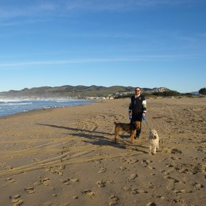 Plismo beach California