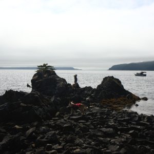 Media 'Naked Island, PWS' in album 'Perry Island, PWS'