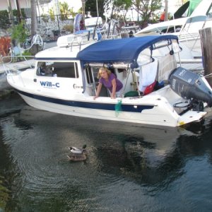 I've been told this is not a C-Dory.I wonder why it says C-dory on the side?