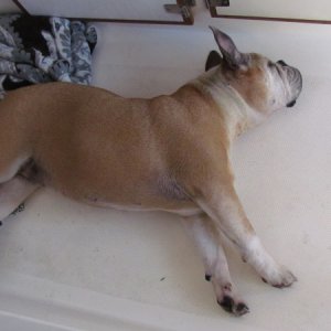 Lucy doing what she does best