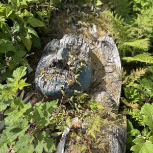 Decaying totem at Friendly Cove