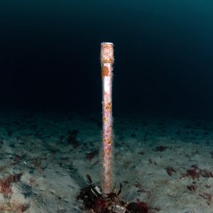 Topaz Deep DSC_8946.jpg