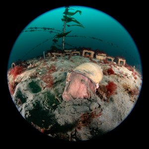 Topaz Deep DSC_9023.jpg