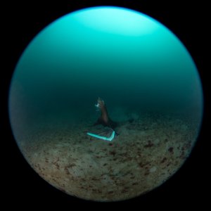 Topaz Deep DSC_9011.jpg