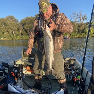 Lewis River Second King