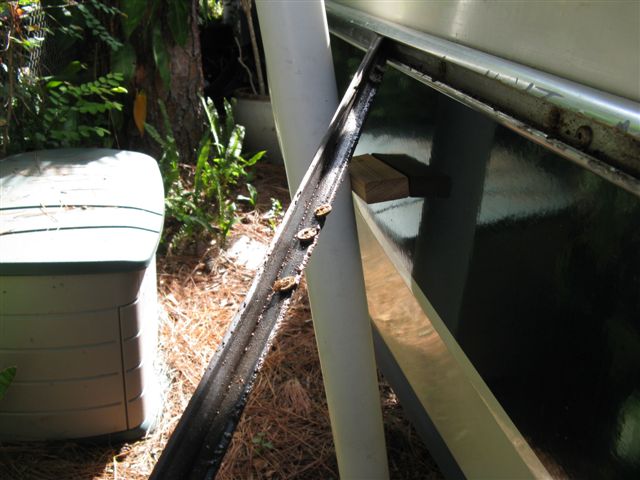 005 5
When the rubber insert was pulled, it had rivet washer caps laying in it