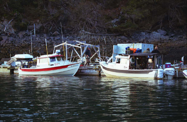 03 film hmer (22).jpg