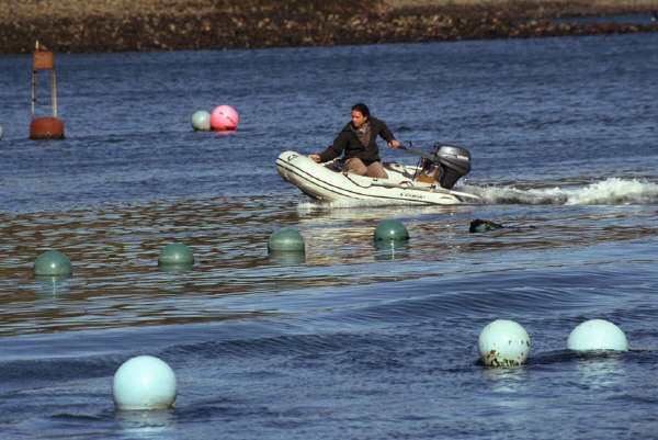 03 film hmer (25).jpg