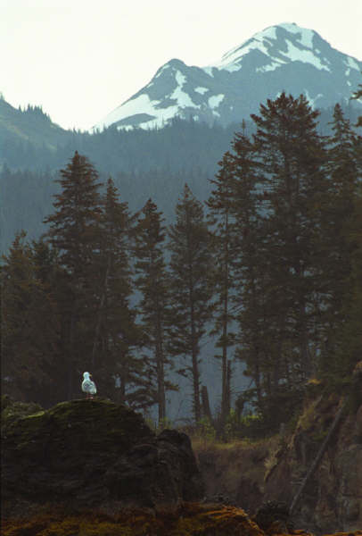 03 film hmer (7).jpg