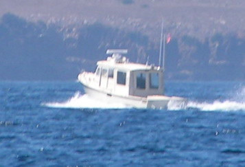 0384C
