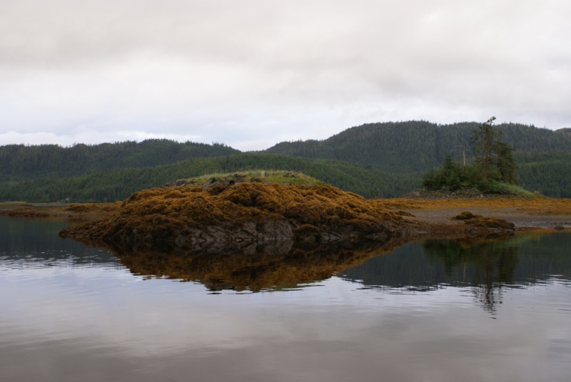 086 Thorne Bay, home of the world's largest logging camp in the 1960's -0358