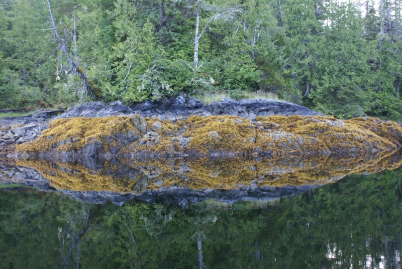 098 Rescue Bay (Jackson Passage) -0421