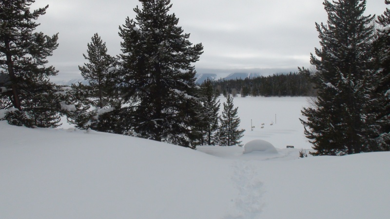 1-26-11 Colter Bay, Jackson Lake, TNP