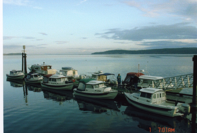 1 Oct 2005 Sequim: Many C-Dorys at the dock Saturday morning.