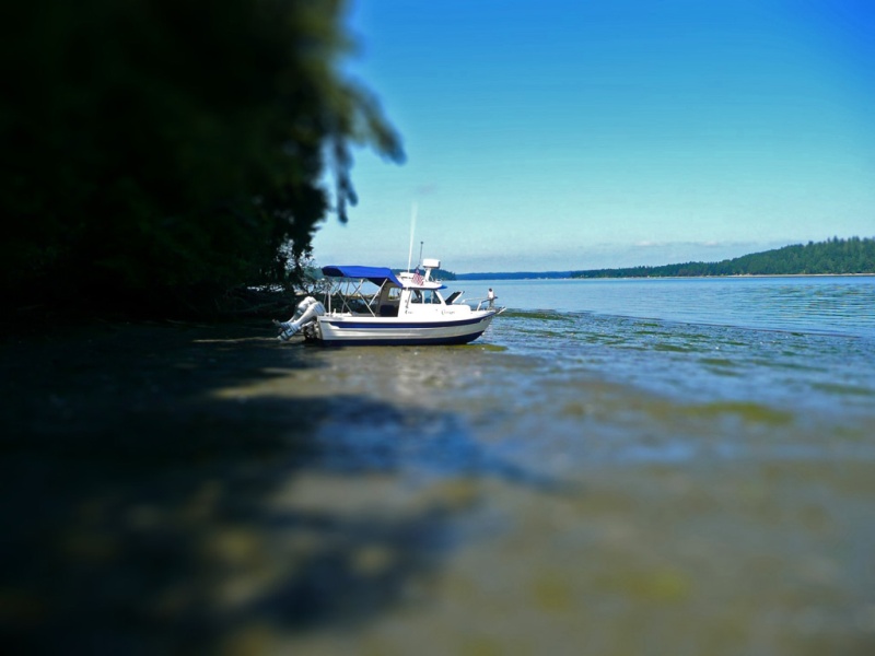 1 tiltshift