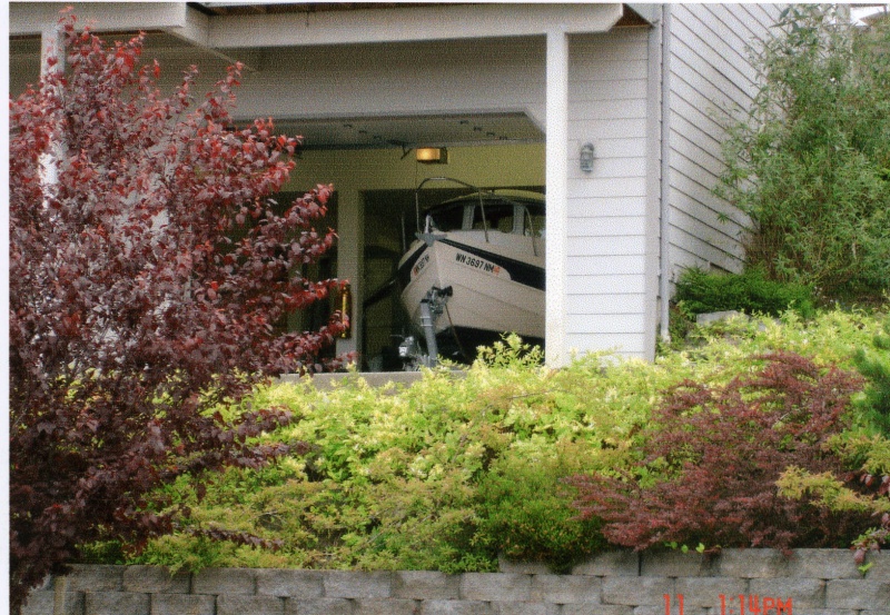 11 June 2005: Just a Peek-a-View