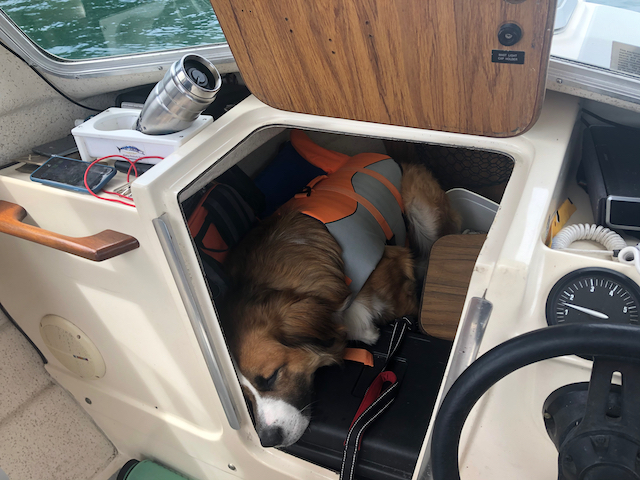 110# Dog fits in the 16 Angler \"Cabin\"