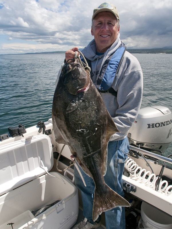 12 lb Halibut Green Point